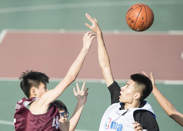 鲁大师在线观看免费播放