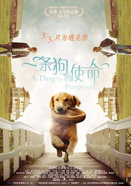 国产特级毛片