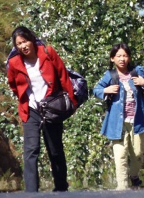 国产精品一区二区在线观看网站