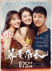 狠狠干婷婷