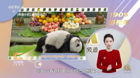 国产字幕制服中文在线